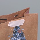 Пакет крафтовый вертикальный «Present», MS 18 × 23 × 10 см - Фото 4