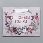 Пакет крафтовый горизонтальный «Сказка», MS 23 × 18 × 10 см - Фото 5