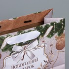 Пакет крафтовый горизонтальный «Новогодние игрушки», MS 23 × 18 × 10 см - фото 9068931