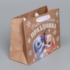 Пакет крафтовый горизонтальный «Хлопушки», MS 23 × 18 × 10 см - фото 804999527