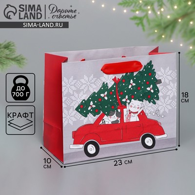Пакет подарочный новогодний крафтовый «Спешу к тебе», MS 23×18×10 см