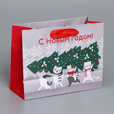 Пакет подарочный новогодний крафтовый «Спешу к тебе», MS 23×18×10 см