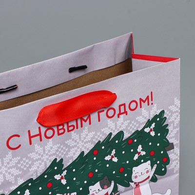 Пакет подарочный новогодний крафтовый «Спешу к тебе», MS 23×18×10 см