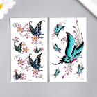 Татуировка на тело цветная "Бабочки нарисованные" МИКС 10,5х6 см - Фото 1