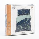 Постельное бельё Этель Дуэт "«Эвкалипт» (вид 2)" 143х215 см - 2 шт, 220х240 см, 70х70 см -2 шт, поплин 9129931 - фото 9947163