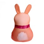 Игрушка антистресс «Всё сбудется» - Фото 2