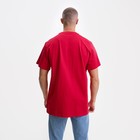 Футболка мужская, цвет красный/принт МИКС, размер 48 (3XL) - фото 21749550