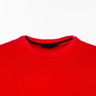 Футболка мужская, цвет красный/принт МИКС, размер 48 (3XL) - фото 21749552