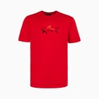 Футболка мужская, цвет красный/принт МИКС, размер S - фото 21749734