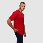 Футболка мужская, цвет красный/принт МИКС, размер L - фото 21749747