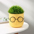 Кашпо для цветов со вставкой «Стив», 650 мл, d=11.5 см, h=10.5 см, жёлтое - Фото 7