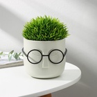 Кашпо для цветов со вставкой «Стив», 650 мл, d=11.5 см, h=10.5 см, цвет белый ротанг - Фото 7