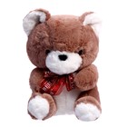 Мягкая игрушка «Медведь», 20 см, цвета МИКС - фото 4641727