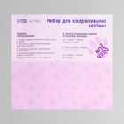 Набор для вскармливания «Пушистое счастье» для котят, 60 мл, с 4 сосками и ёршиком - Фото 4