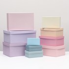 Набор коробок 10 в 1 "Нюдовый", 30,5 х 20 х 13 - 12 х 6,5 х 4 см - фото 808989189