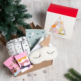 Новогодний подарочный набор Merry Catmas, плед и аксессуары
