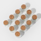 Набор баночек стеклянных для специй с пробковой крышкой Доляна «Парфе», 200 мл, 7×7×8,5 см, 12 шт - Фото 2