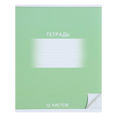 Тетрадь 12 листов в крупную клетку Calligrata «Школьная. Зелёная», обложка мелованный картон, ВД-лак, блок офсет, белизна 95%