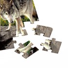 Пазл «Лесные герои», 104 элемента - Фото 3