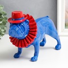 Сувенир полистоун "Бульдог в шляпе" синий с красным 19х11,5х28,5 см - фото 11387786