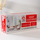 Набор салатников Доляна «Цветочная мелодия», 7 предметов: 6 шт: d=11 см, 1 шт: d=20 см, стеклокерамика - Фото 6