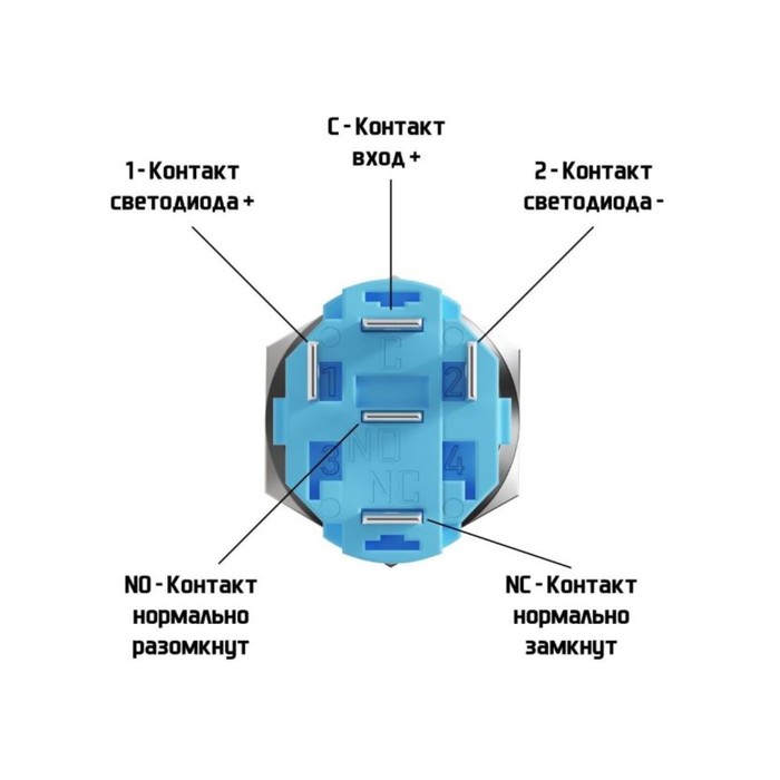 Выключатель, 12 В, 3 А, 5 pin, IP67, d=16 мм, провод 15 см, синий - фото 51759388