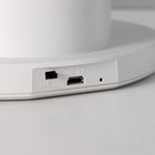 Настольная лампа сенсорная "Круги" с органайзером LED 20Вт  АКБ USB белый 44х36х15 см RISALUX  78003 7800305