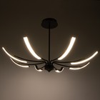 Люстра "Элеганс" LED 64Вт 3000-6000К черный 100х100х45 см BayerLux - фото 35373194