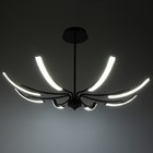 Люстра "Элеганс" LED 64Вт 3000-6000К черный 100х100х45 см BayerLux - фото 35373195