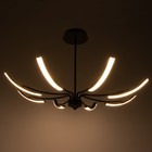 Люстра "Элеганс" LED 64Вт 3000-6000К черный 100х100х45 см BayerLux - фото 35373196