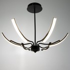 Люстра «Элеганс» LED 48 Вт 3000-6000К черный 80×80×45 см BayerLux - фото 49188070