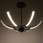 Люстра «Элеганс» LED 48 Вт 3000-6000К черный 80×80×45 см BayerLux - фото 49188071