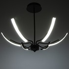 Люстра «Элеганс» LED 48 Вт 3000-6000К черный 80×80×45 см BayerLux - фото 49188072