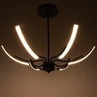 Люстра «Элеганс» LED 48 Вт 3000-6000К черный 80×80×45 см BayerLux - фото 49188073