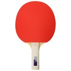 Ракетка для настольного тенниса BOSHIKA Beginner 1*, для любителей, накладка 1.5 мм, прямая ручка - фото 6687340