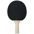 Ракетка для настольного тенниса BOSHIKA Beginner 1*, для любителей, накладка 1.5 мм, прямая ручка - Фото 4