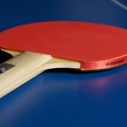 Ракетка для настольного тенниса BOSHIKA Beginner 1*, для любителей, накладка 1.5 мм, прямая ручка - фото 6687345
