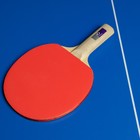 Ракетка для настольного тенниса BOSHIKA Beginner 1*, для любителей, накладка 1.5 мм, прямая ручка - фото 6687346
