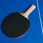 Ракетка для настольного тенниса BOSHIKA Beginner 1*, для любителей, накладка 1.5 мм, прямая ручка - фото 4066559