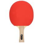 Набор для настольного тенниса BOSHIKA Control 10: 2 ракетки,3 мяча, губка 1.5 мм, коническая ручка - фото 7681032