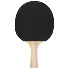 Набор для настольного тенниса BOSHIKA Control 10: 2 ракетки,3 мяча, губка 1.5 мм, коническая ручка - фото 7681033