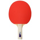 Набор для настольного тенниса BOSHIKA Control 10: 2 ракетки,3 мяча, губка 1.5 мм, коническая ручка - фото 6687350