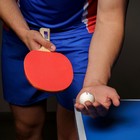 Набор для настольного тенниса BOSHIKA Control 10: 2 ракетки,3 мяча, губка 1.5 мм, коническая ручка - фото 6687355