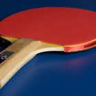 Набор для настольного тенниса BOSHIKA Control 10: 2 ракетки,3 мяча, губка 1.5 мм, коническая ручка - фото 6687356
