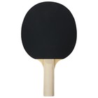 Набор для настольного тенниса BOSHIKA Control 10: 2 ракетки,3 мяча, губка 1.5 мм, коническая ручка - Фото 10