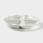 Менажница керамическая 4 ячейки «Воздушность», 19×3 см, цвет белый - Фото 2