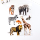Наклейка силикон на стекло "Звери Африки" 20х15 см - фото 319037078