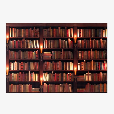 Фотофон винил «Книжные полки» 150×210 см