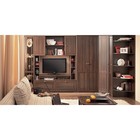 Шкаф для посуды Sherlock 131, 400 × 400 × 2107 мм, правый, цвет орех шоколадный - Фото 3