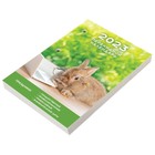 Календарь-ежедневник, настольный, перекидной, 2023 год, STAFF "Умный кролик", 160 листов, газетный блок, 1 краска - Фото 4